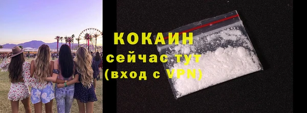 шишки Заводоуковск