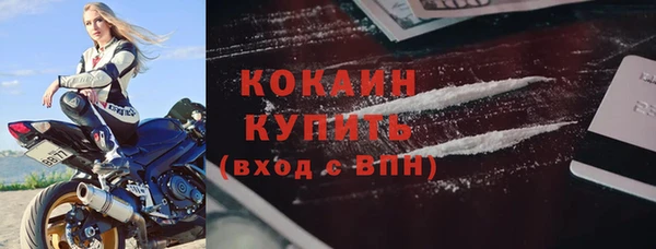 шишки Заводоуковск