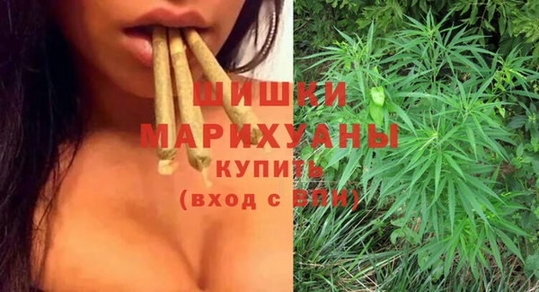 шишки Заводоуковск