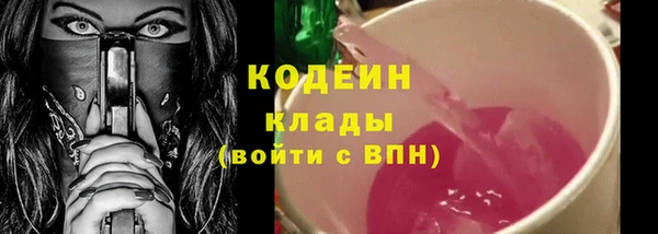 шишки Заводоуковск
