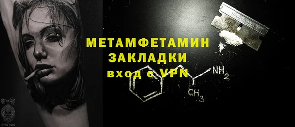 шишки Заводоуковск