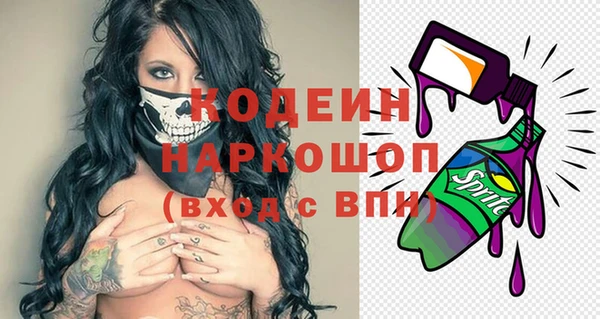 шишки Заводоуковск
