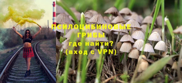 шишки Заводоуковск