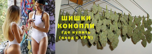 шишки Заводоуковск