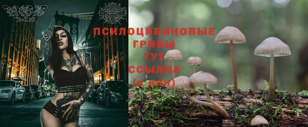 шишки Заводоуковск