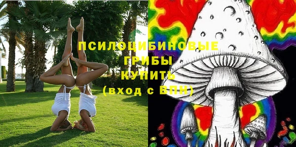 шишки Заводоуковск