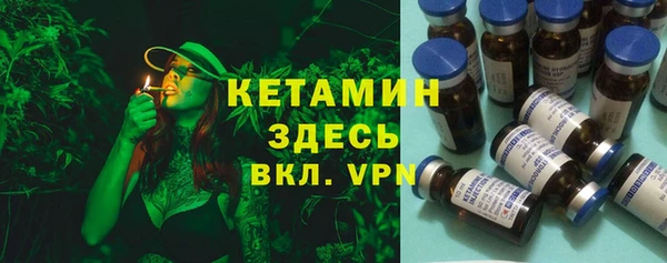 шишки Заводоуковск