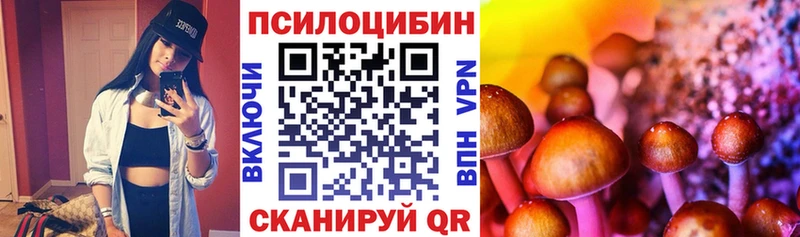 Купить закладки  Зубцов  Галлюциногенные грибы Psilocybine cubensis 